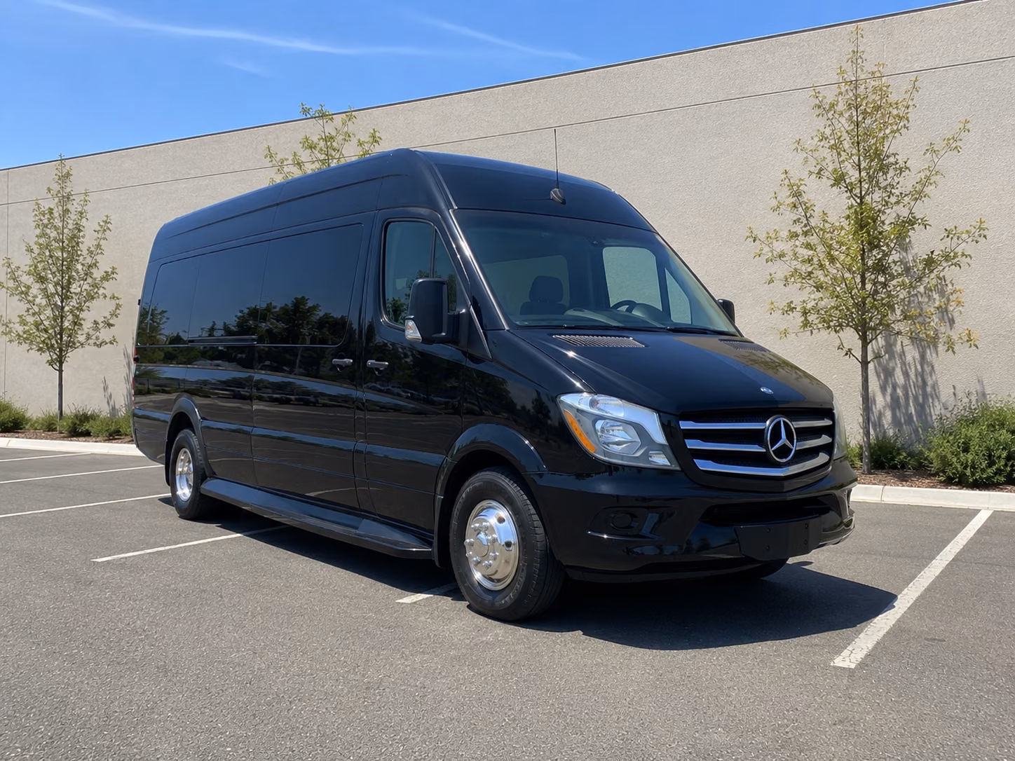 livermore sprinter van with driver